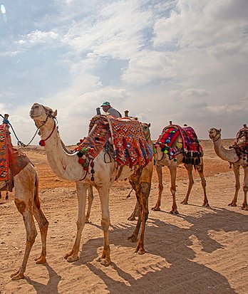 Al Ain 10reasons Family Friendly Carousel