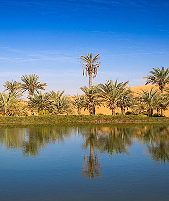 Al Ain 10reasons The Garden City Carousel
