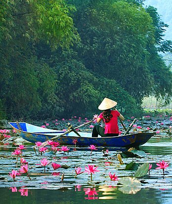 Hanoi 10 Reasons Vibrant Sicial Life Carousel 