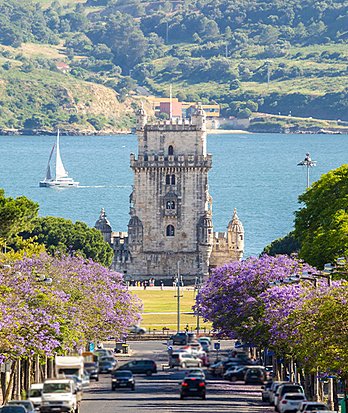Lisbon 10 Reasons  Nature Carousel